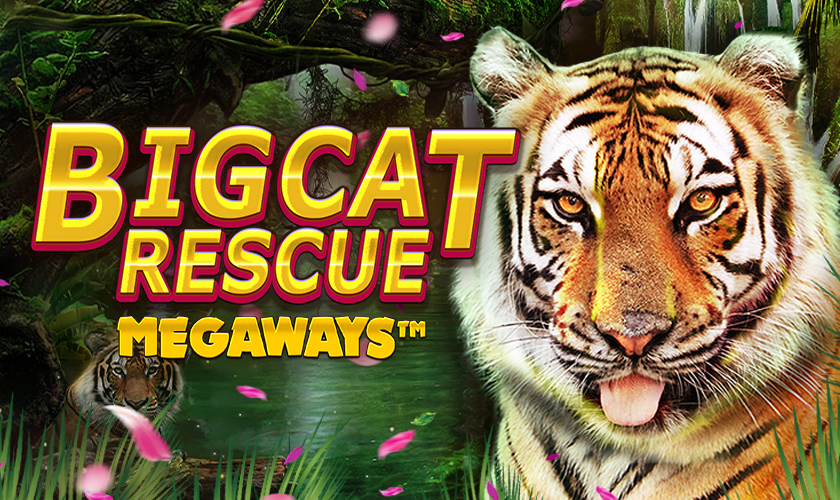 Red Tiger - Big Cat Rescue Megaways