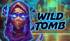 Alchemy Gaming - Wild Tomb