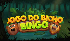 Skywind - Jogo do Bicho Bingo