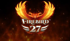 Synot - Firebird 27