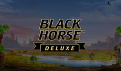 Wazdan - Black Horse Deluxe
