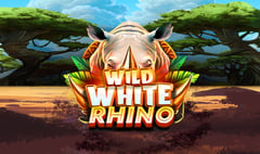 Octoplay - Wild White Rhino