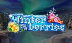 Yggdrasil - Winterberries