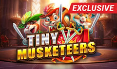 Boomerang - 3 Wonders Tiny Musketeers