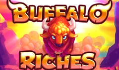 Swintt - Buffalo Riches