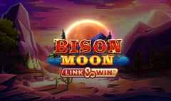 Northern Lights Gaming - Bison Moon