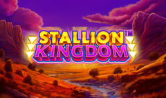 JFTW - Stallion Kingdom
