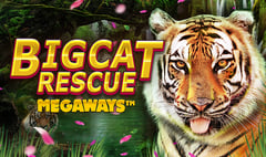 Red Tiger - Big Cat Rescue Megaways