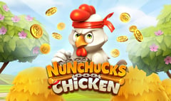 Skywind - Nunchucks Chicken