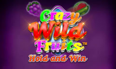 Synot - Crazy Wild Fruits