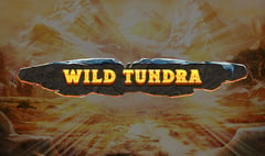 Red Tiger - Wild Tundra