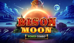 Northern Lights Gaming - Bison Moon Power Combo