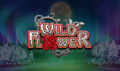 Big Time Gaming - Wild Flower