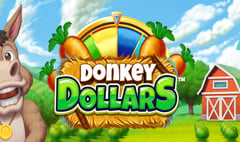 Northern Lights Gaming - Donkey Dollars