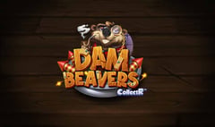 ELK - Dam Beavers