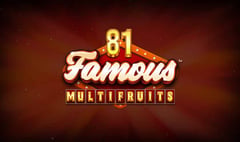 Synot - 81 Famous MultiFruits