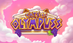 Push Gaming - Cats of Olympuss