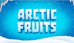 1x2 Gaming - Arctic Fruits