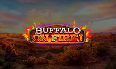 Red Rake - Buffalo on Fire!