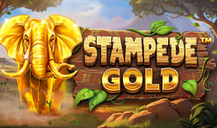 Betsoft - Stampede Gold