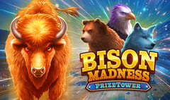 Kalamba Games - Bison Madness PrizeTower