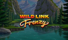 SpinPlay Games - Wild Link Frenzy