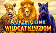 SpinPlay Games - Amazing Link - WildCat Kingdom