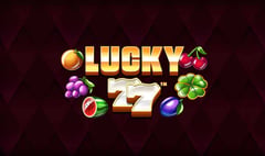 Synot - Lucky 77