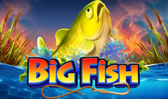 Swintt - Big Fish