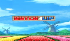 Play'n GO - Dutch Flip