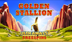 Northern Lights Gaming - Golden Stallion