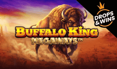 Pragmatic Play - Buffalo King Megaways