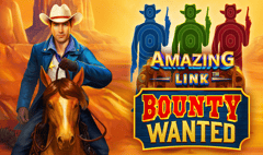 SpinPlay Games - Amazing Link Bounty Wanted