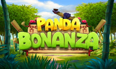 Northern Lights Gaming - Panda Bonanza