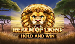 Synot - Realm Of Lions