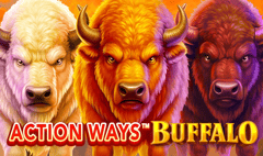 SpinPlay Games - Action Ways Buffalo