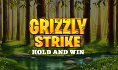 Iron Dog Studio - Grizzly Strike
