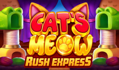 Area Vegas - Cat's Meow Rush Express