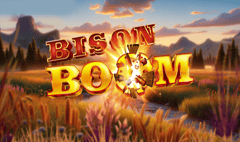 Northern Lights Gaming - Bison Boom