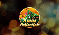 Spinomenal - Xmas Collection - 20L