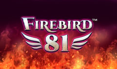 Synot - Firebird 81