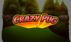 Swintt - Crazy Pug
