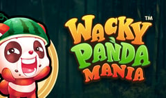 Slingshot Studios - Wacky Panda Mania