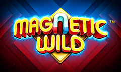 Synot - Magnetic Wild