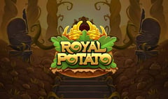 Print Studios - Royal Potato