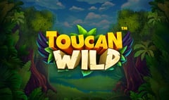 Skywind - Toucan Wild