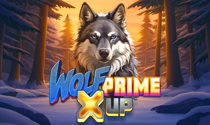 Alchemy Gaming - Wolf Prime X UP