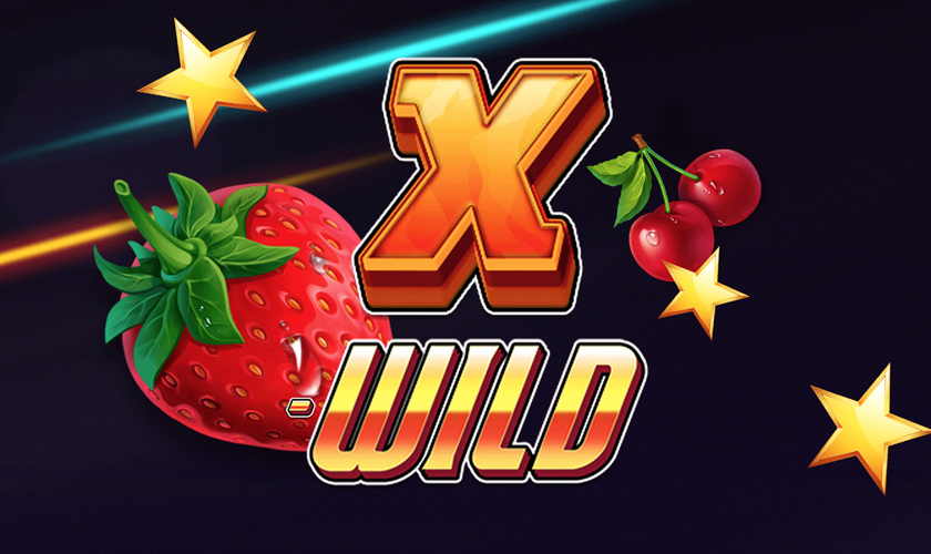1x2 Gaming - X-WILD